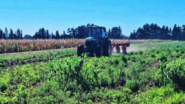 Argentina se convierte en el primer país del mundo en aprobar una nueva tecnología herbicida