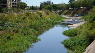 El arroyo Ludueña pasó por varios procesos de limpieza a lo largo de los años, pero las condiciones siguen siendo malas.