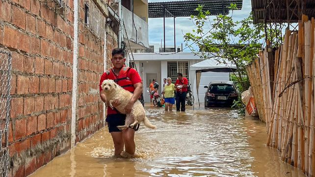 Las últimas inundaciones avivan el temor por la leptospirosis