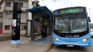 Los vecinos sospechan que las empresas de transporte están retirando colectivos de la calle sin autorización del municipio para ahorrar costos.