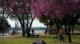 El tiempo en Rosario: la temperatura sigue subiendo pero las tormentas ya se asoman