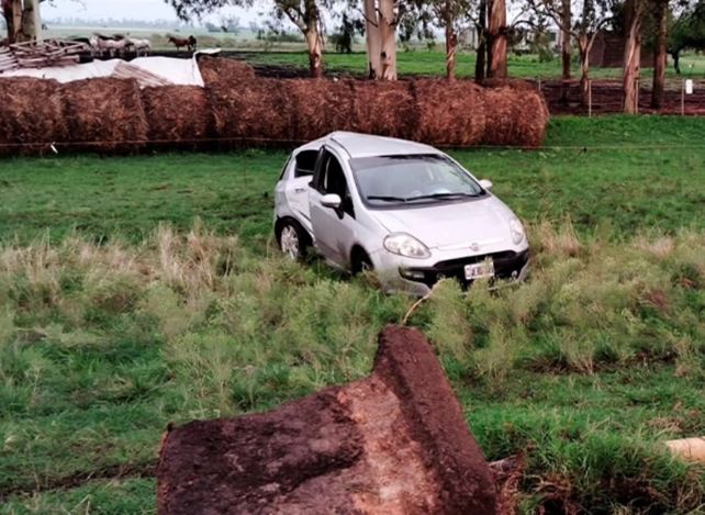 Un camión chocó y mató un vacuno en ruta 20. Un auto que trató de esquivar el animal chocó contra una columna. Ocurrió en Basavilbaso