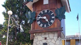 Arrancaron el pájaro del cucú de Carlos Paz