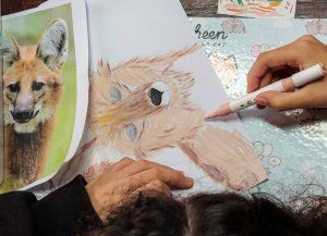 El aguará guazú es la imagen de la octava edición del Ficer