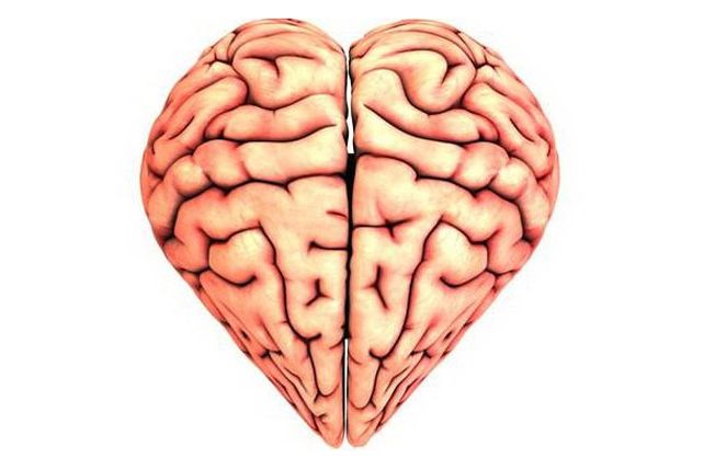 ¿Cerebro o corazón? El amor analizado por la ciencia