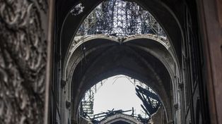 La levantaremos más bella que nunca y en cinco años