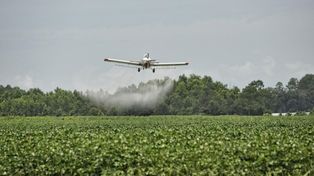 La proximidad entre zonas fumigadas y viviendas expone a la población a compuestos tóxicos, eje central del fallo judicial que reconoció el daño ambiental y sanitario.