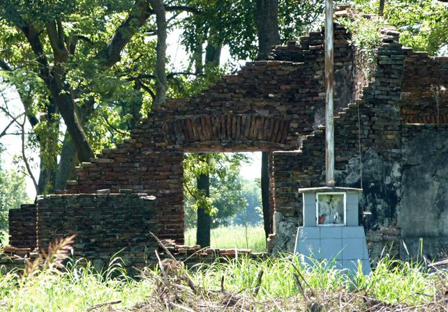 Colonia San José: investigan enterramientos clandestinos