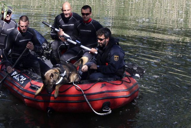 Así trabajan los perros que rastrean restos humanos bajo el agua