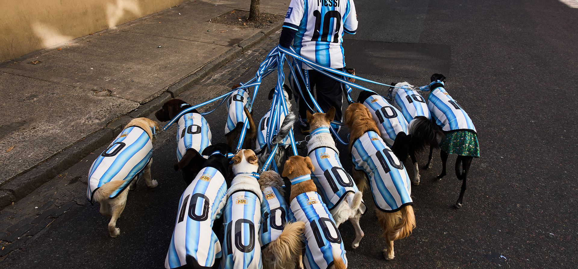 Un cuidador de perros pasea canes vestidos con camisetas de la selección argentina de fútbol en Buenos Aires, Argentina, el 2 de julio de 2026. (Foto AP/Rodrigo Abd) Un cuidador de perros pasea canes vestidos con camisetas de la selección argentina de fútbol en Buenos Aires, Argentina, el 2 de julio de 2026. (Foto AP/Rodrigo Abd)