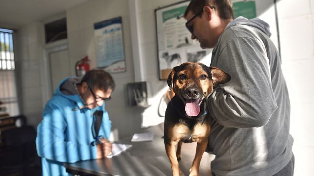 Trabajos de iluminación y bacheo previstos para este martes