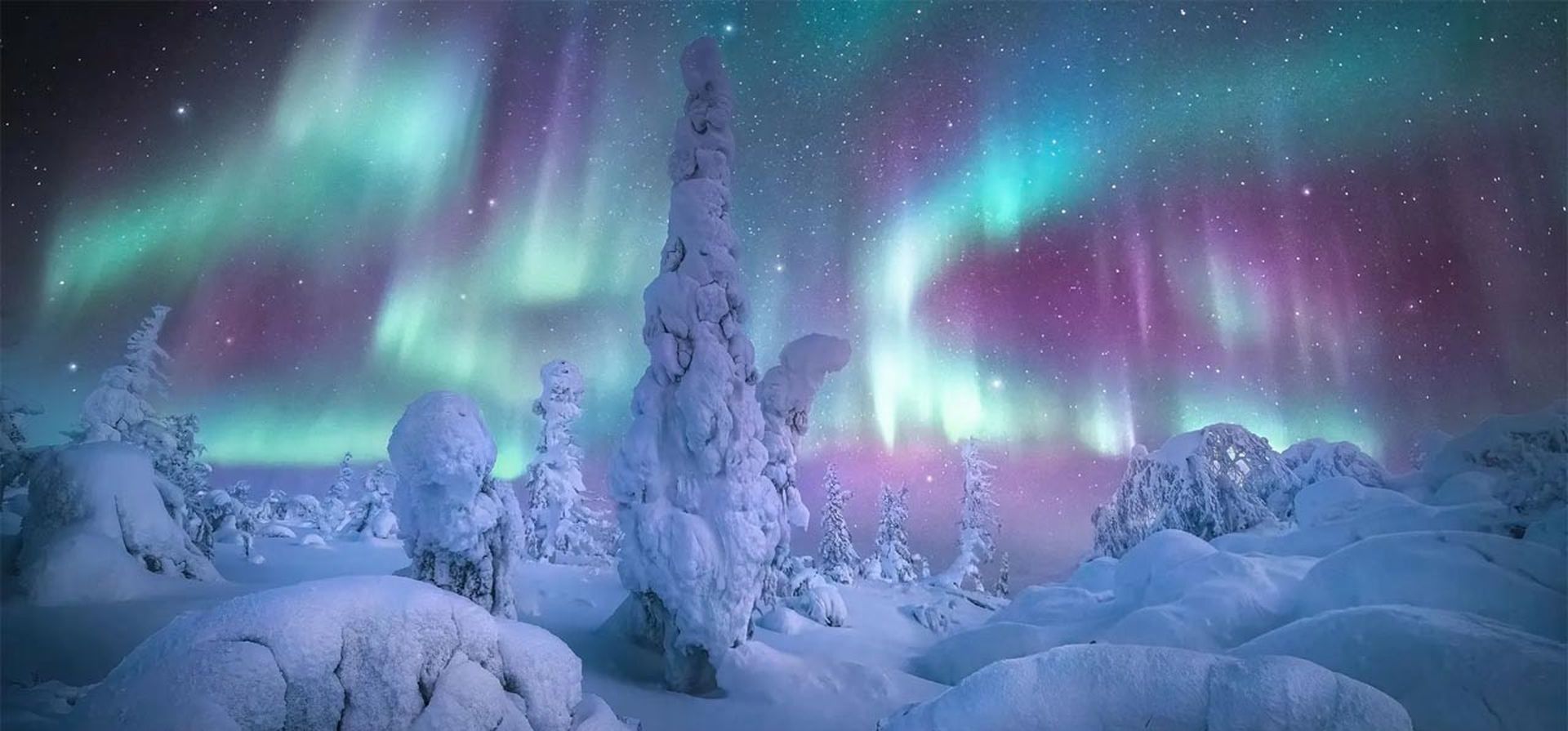 Bosque de las Luces. Alaska, EE. UU. Fotografía: Marc Adamus / Capture the Atlas
