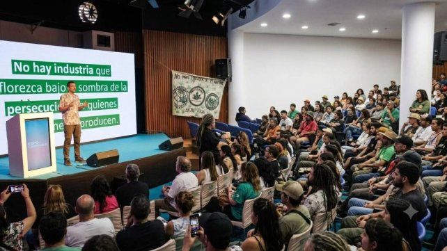 Entre el derecho y el estigma: las disputas de sentido sobre el cannabis