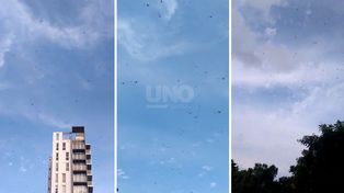 Los alguaciles invadieron la ciudad