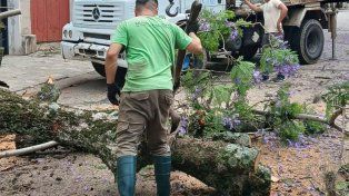 Nuevo temporal afectó a Concepción del Uruguay