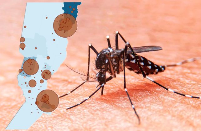 Mapa interactivo: dónde se concentran los casos de dengue en la provincia