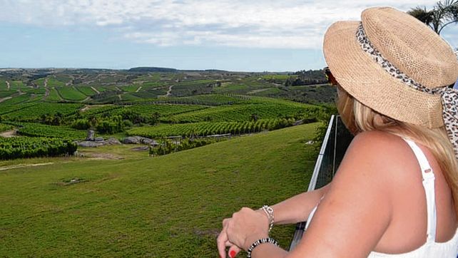 Los charrúas en el top ten del enoturismo