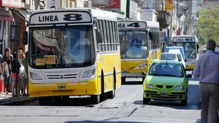 Choferes de la Línea 8 decidieron modificar su recorrido en Centenario&amp;amp;amp;nbsp;