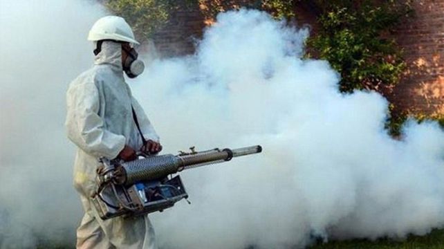 Las fumigaciones ayudan a prevenir la proliferación del mosquito.