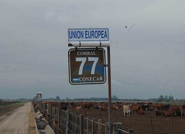 El feed lot se consolida como aliado estratégico de la agricultura