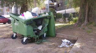 Siguen los incendios de los contenedores de residuos