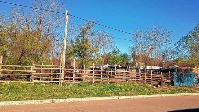 Pretendían marcar los terrenos para levantar casillas en una zona prohibida.