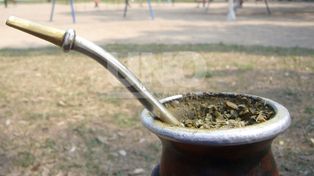 Muchos de los infectados habían compartido el mate
