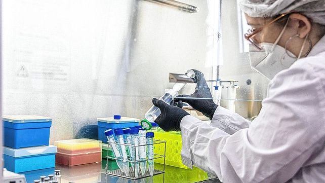Vacuna contra Covid-19 hecha en Santa Fe tiene 90% de avance
