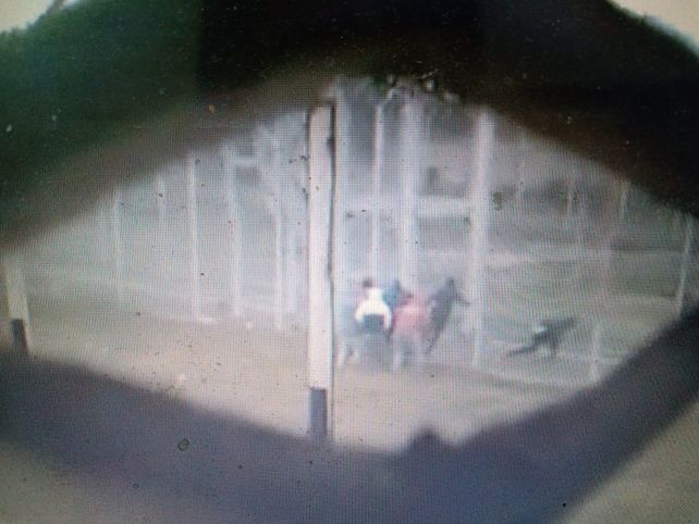 El momento del escape filmado por uno de los internos desde adentro del penal.
