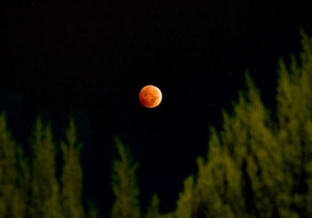 ¿El eclipse es la antesala del Apocalipsis?
