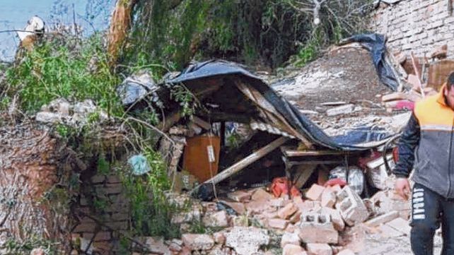 Tragedia. El viento zonda derribó un árbol sobre una humilde vivienda del barrio Campo Papa
