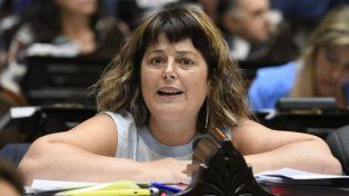 Fuerte denuncia de Gaillard contra Martín Menem en Diputados
