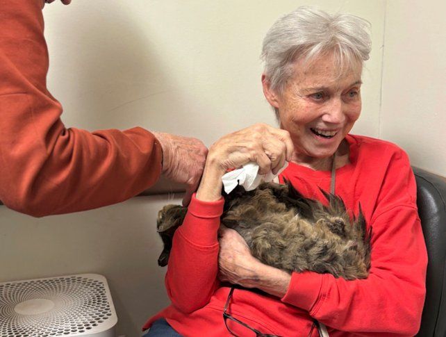 A dos meses de los incendios en Los Ángeles, se reencontró con su gata perdida