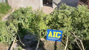 Los elementos secuestrados en los allanamientos por la balacera en el encuentro Colón Peñarol que terminó con barras detenidos&nbsp;