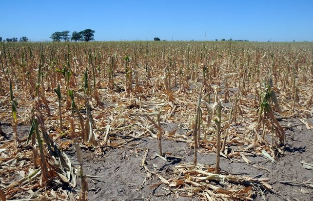 Con los termómetros en rojo, se esperan más lluvias para el fin de semana