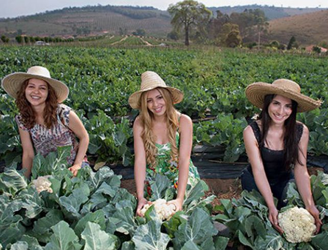 Las mujeres de Noiva son mayoría.