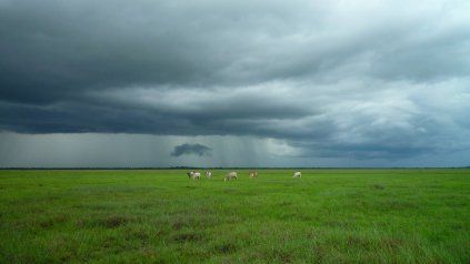 Llegaron las lluvias a la región núcleo