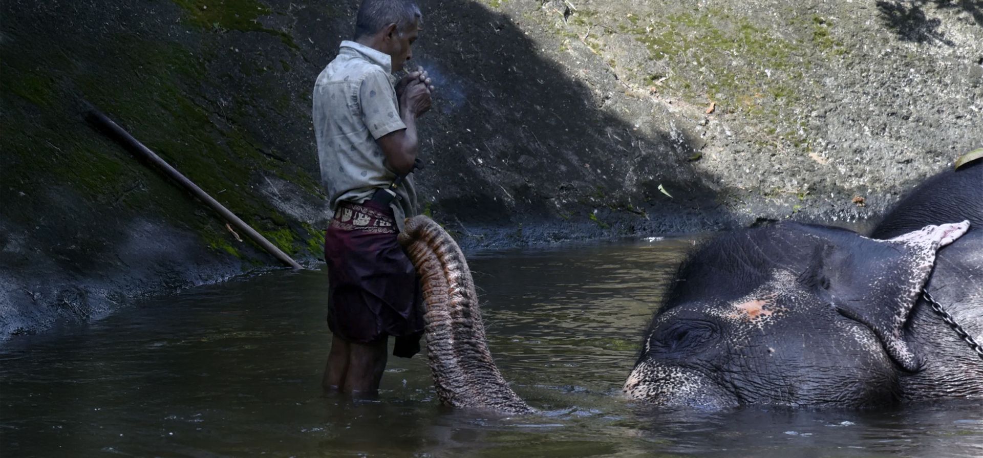 Un mahout enciende un cigarrillo después de terminar de lavar a un elefante, Colombo, Sri Lanka. Fotografía: Akila Jayawardena/NurPhoto/Rex/Shutterstock Un mahout enciende un cigarrillo después de terminar de lavar a un elefante, Colombo, Sri Lanka. Fotografía: Akila Jayawardena/NurPhoto/Rex/Shutterstock