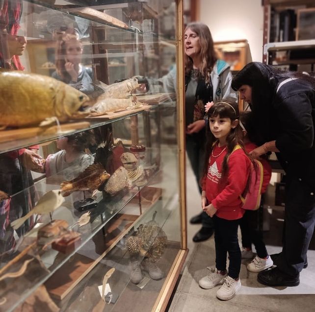 El Museo Gallardo invita a conocer los secretos de su depósito
