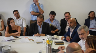 Vicentín: la empresa brindó explicaciones en la Legislatura