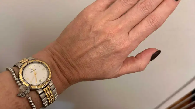 El reloj marca Grovana de Karina Milei&nbsp;