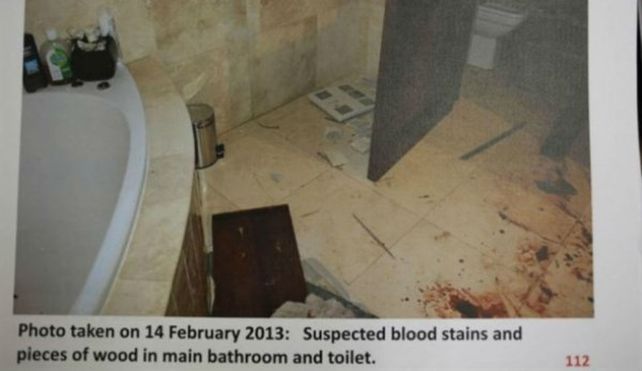 Inéditas y sangrientas fotos del caso Pistorius