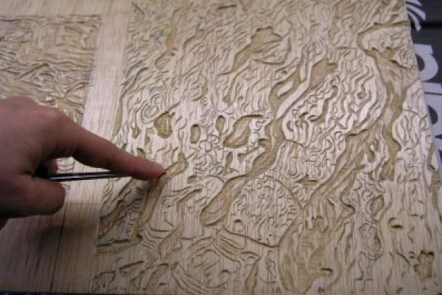 Muestra de grabado de artistas nacionales en Paraná