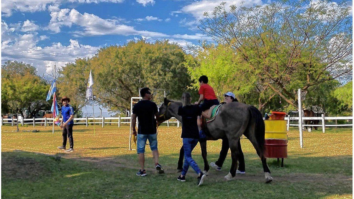 Centros de equinoterapia en jaque por falta de reglamentación de la Ley