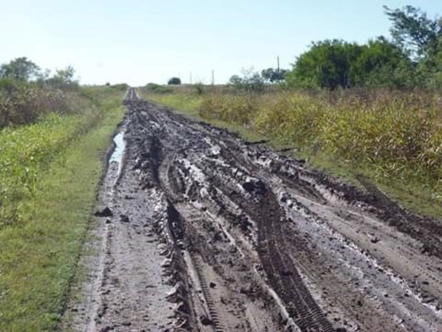 Tras las intensas lluvias es dramática la situación en tambos entrerrianos
