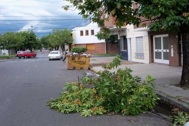 La tormenta generó cortes de energía en varios barrios de la ciudad