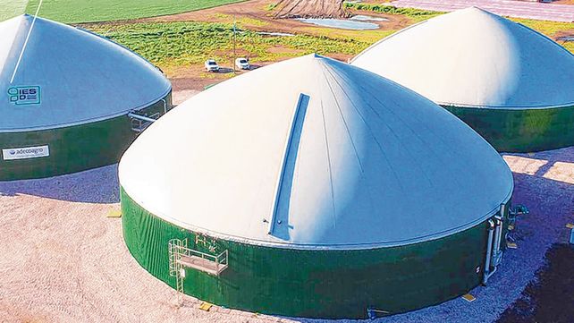 Biodigestor para producir energía renovable con los residuos del tambo.
