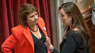 Fuerte cruce entre Villarruel y Bullrich por la Ley de Tierras: Quieren vender el país, acusó la vicepresidenta
