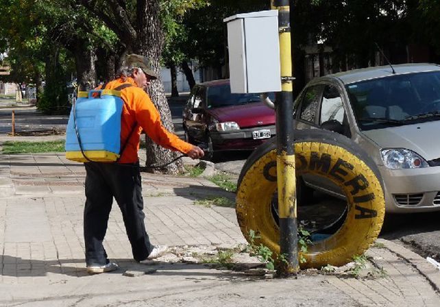 Cronograma de fumigaciones en la ciudad para esta semana