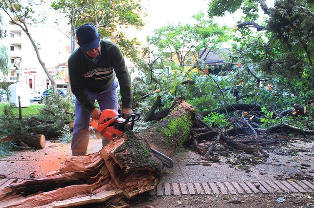 Cuadrillas de trabajadores municipales refuerzan las tareas de limpieza